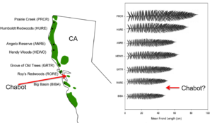 CAswordfernmap