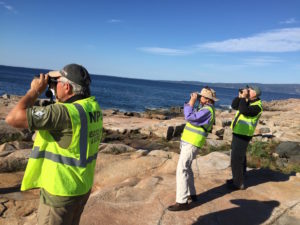 seawatch3-small