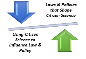 Toward Citizen Science Policy Outcomes