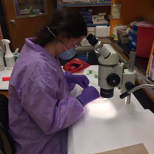 Photo of Skye Kelty working in a lab