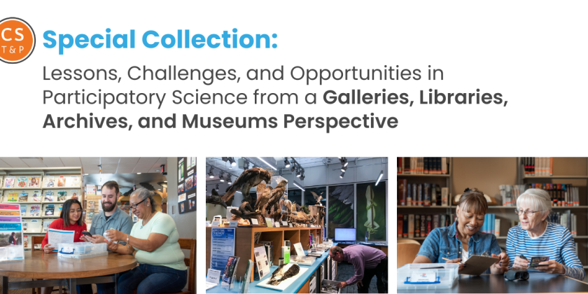 Call for Abstracts: Galleries, Libraries, Archives, and Museums