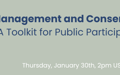 [Webinar]