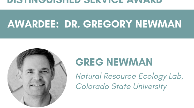 2023 Distinguished Service Award: Greg Newman