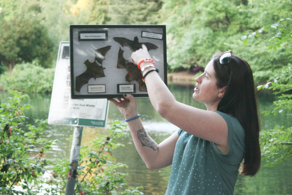 Niki Desautels from Bats Northwest showing the different bat species attendees might observe during a May 2025 field trip.